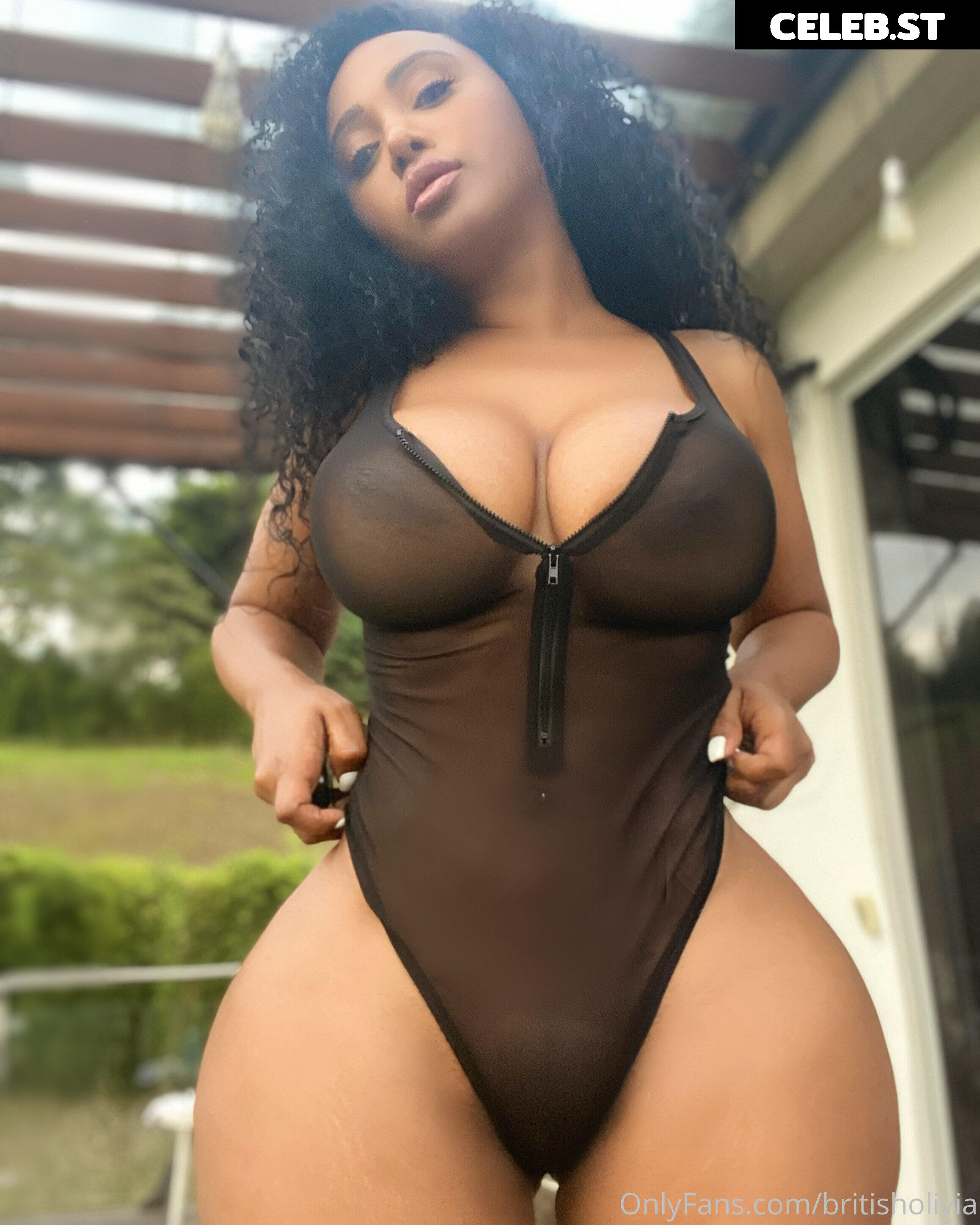 British Olivia Image 4906256