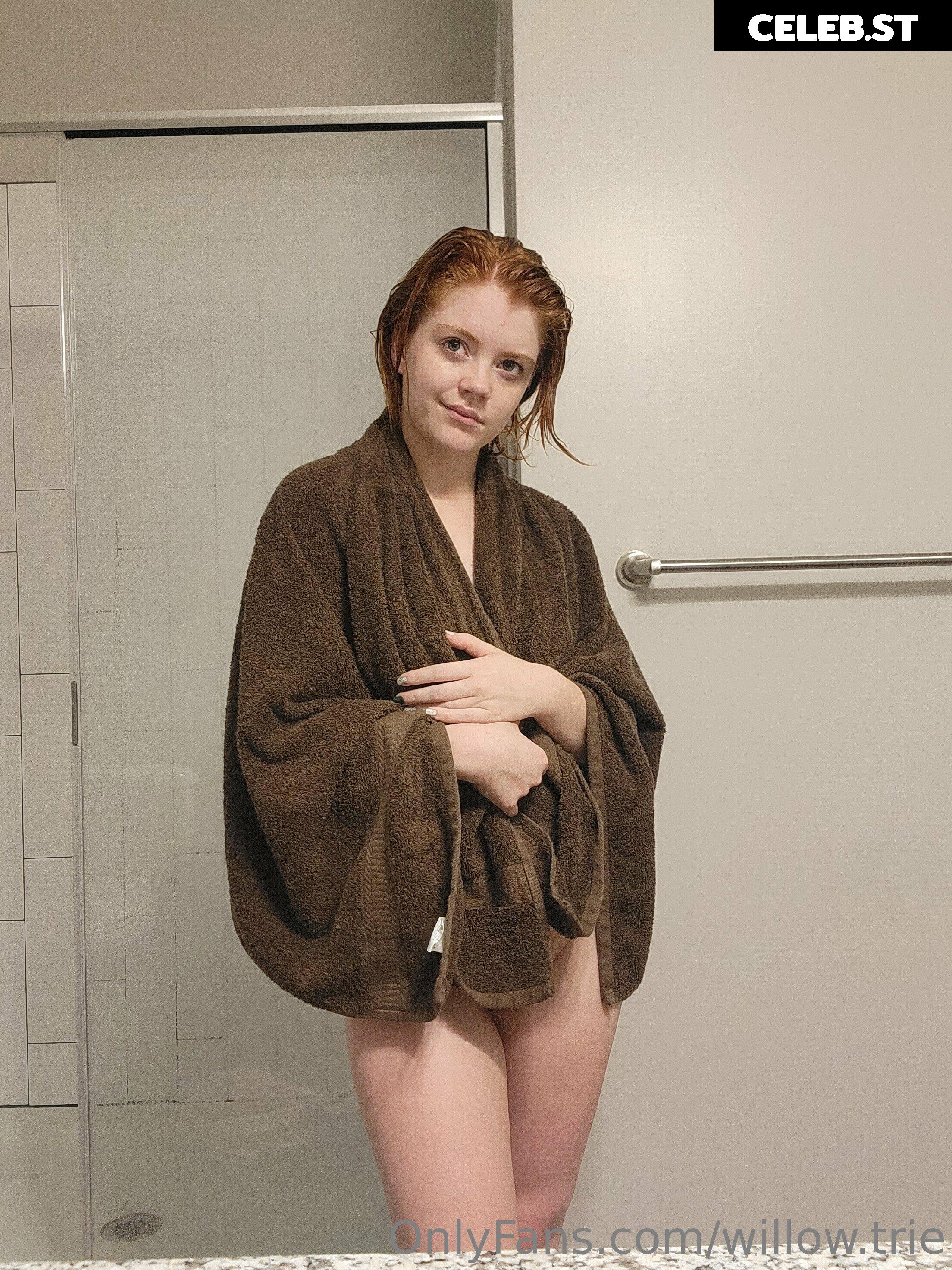 Willow.Trie Image 4906945