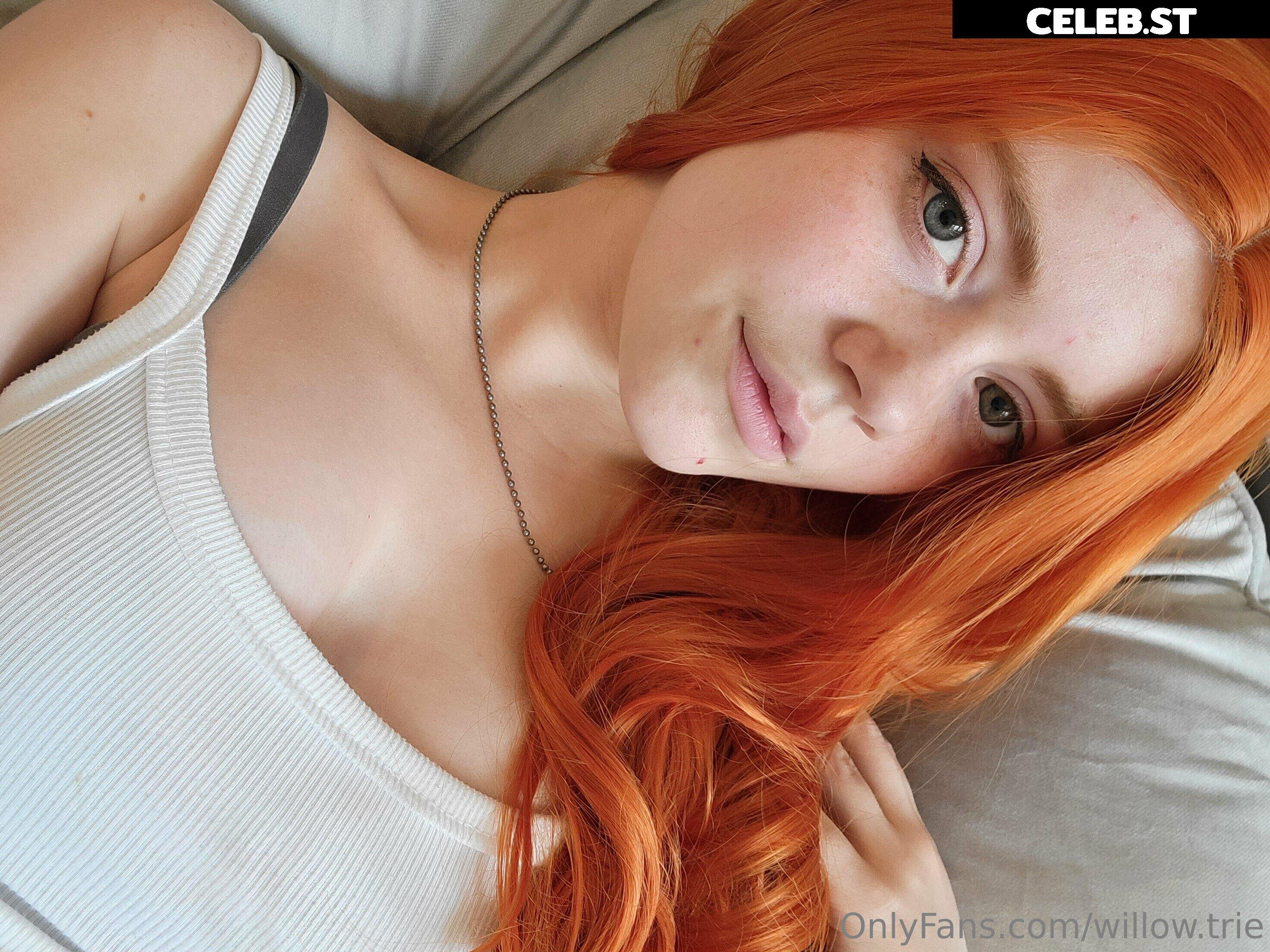 Willow.Trie Image 4903101