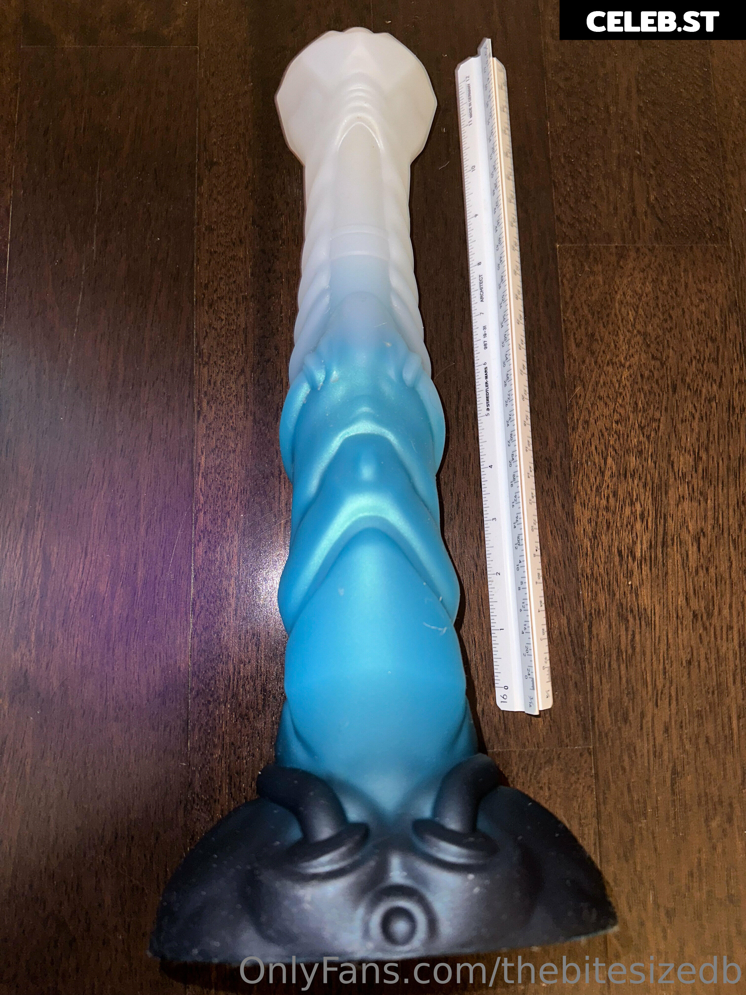 thebitesizedbitch Image 4908726