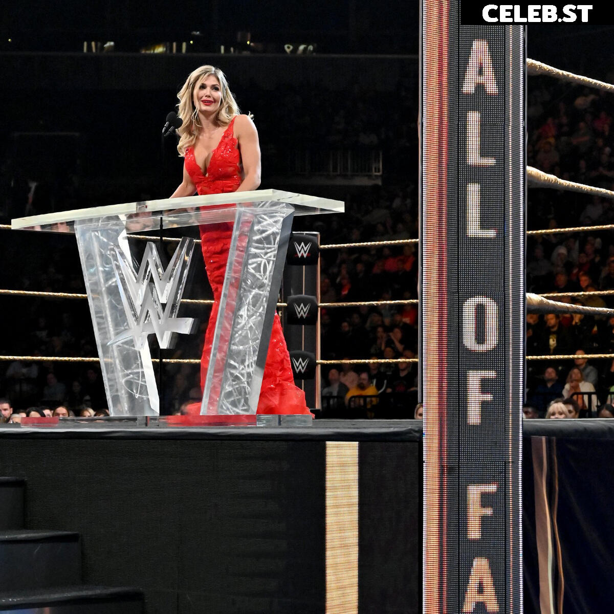WWE Torrie Wilson Image 4491548