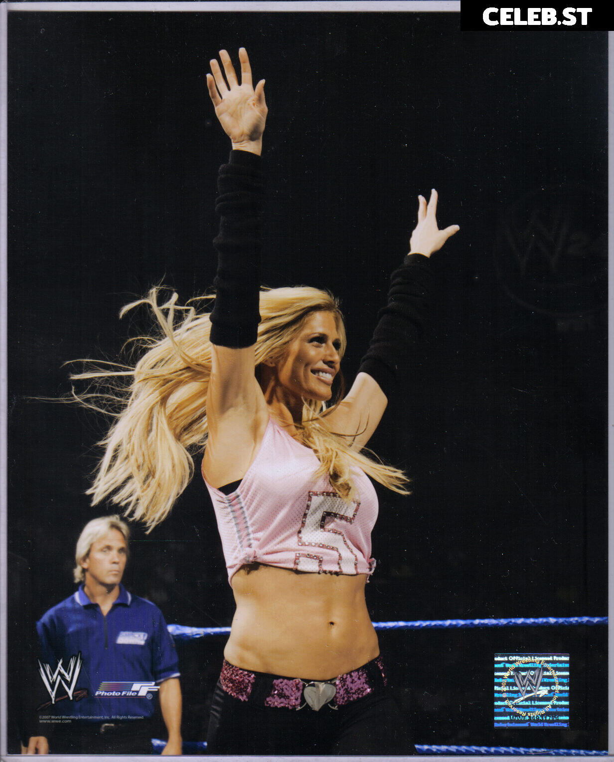 WWE Torrie Wilson Image 4492358