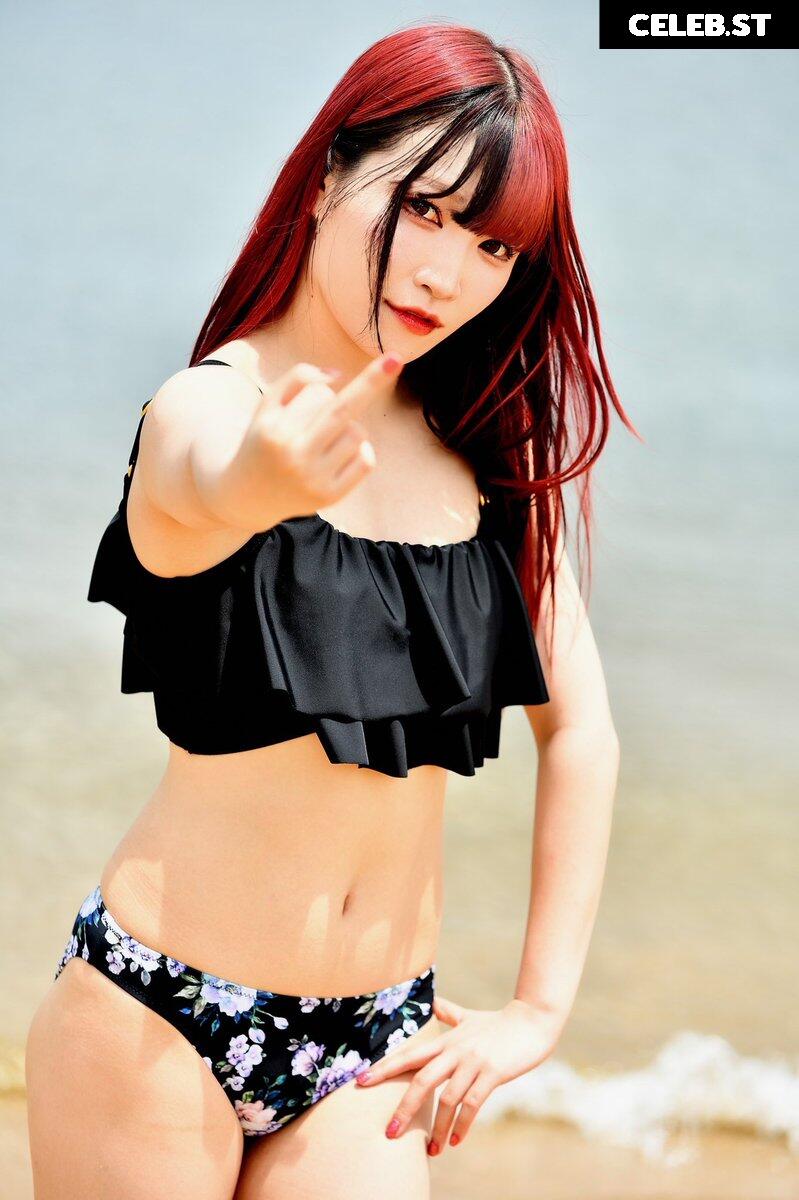 Women of Professional Wrestling Image 4490503