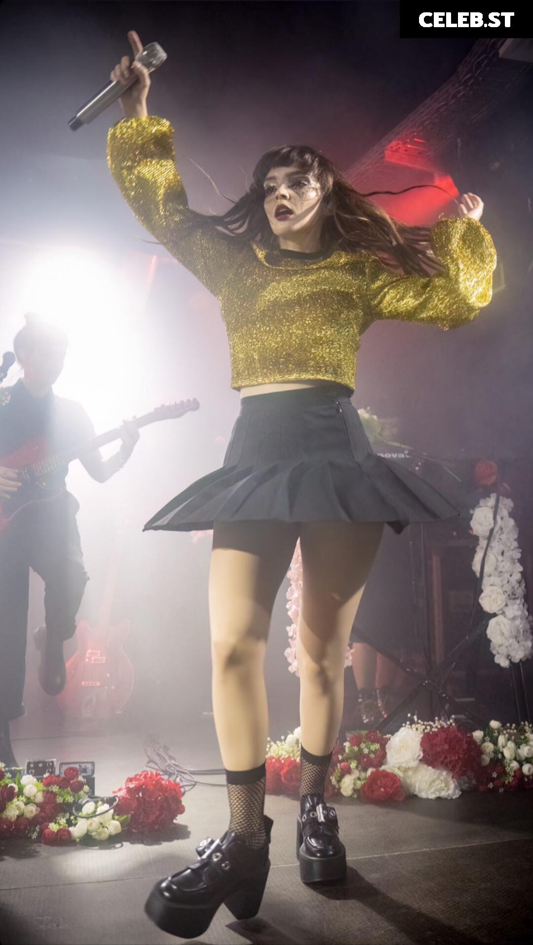 Lauren Mayberry (Singer) Image 4490461