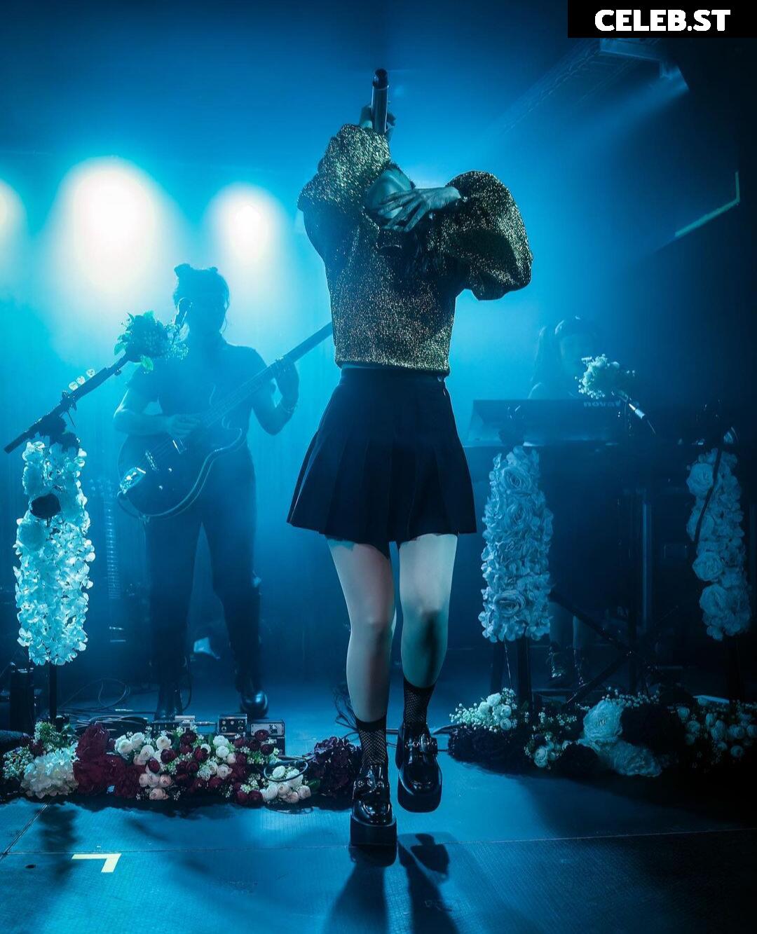 Lauren Mayberry (Singer) Image 4490648