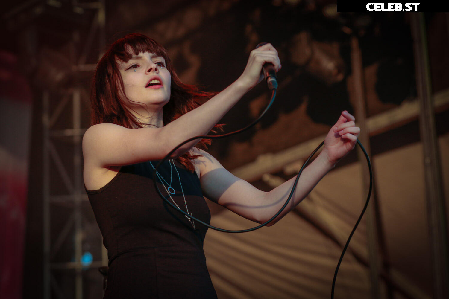 Lauren Mayberry (Singer) Image 4499020