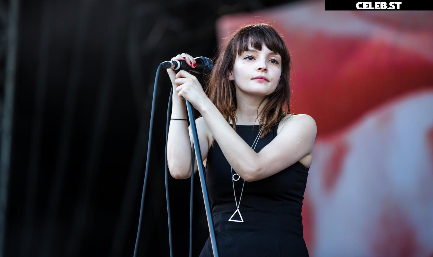Lauren Mayberry (Singer) Image 4498222