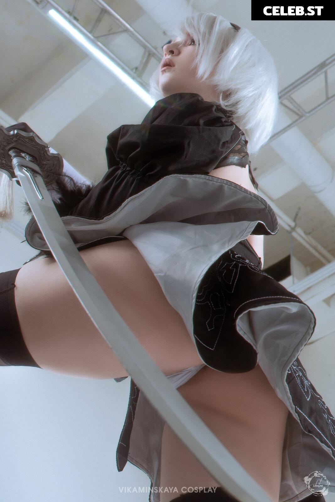 vikaminskaya Image 4486767