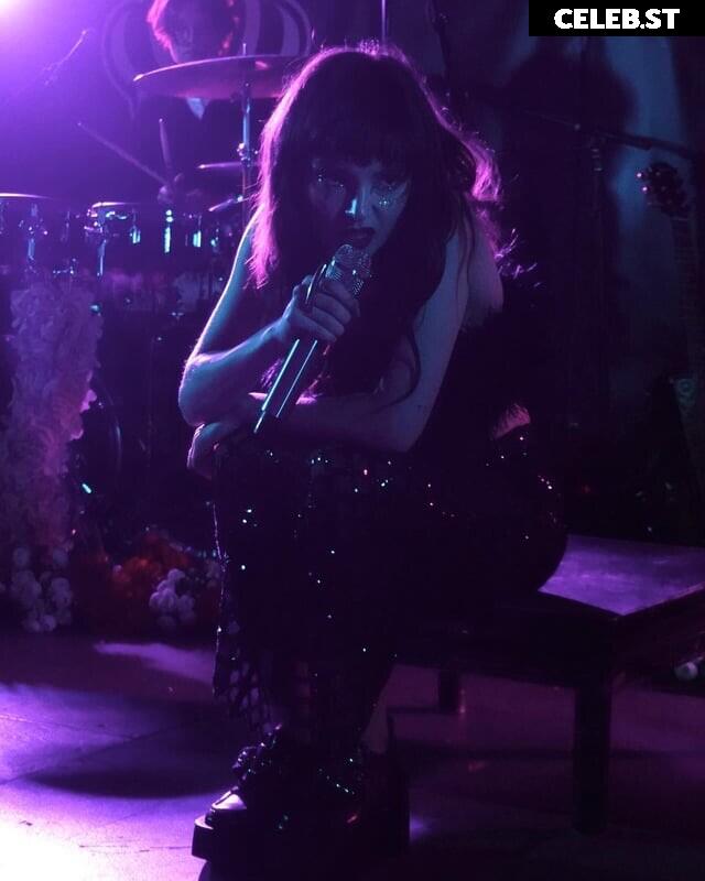 Lauren Mayberry (Singer) Image 4476384