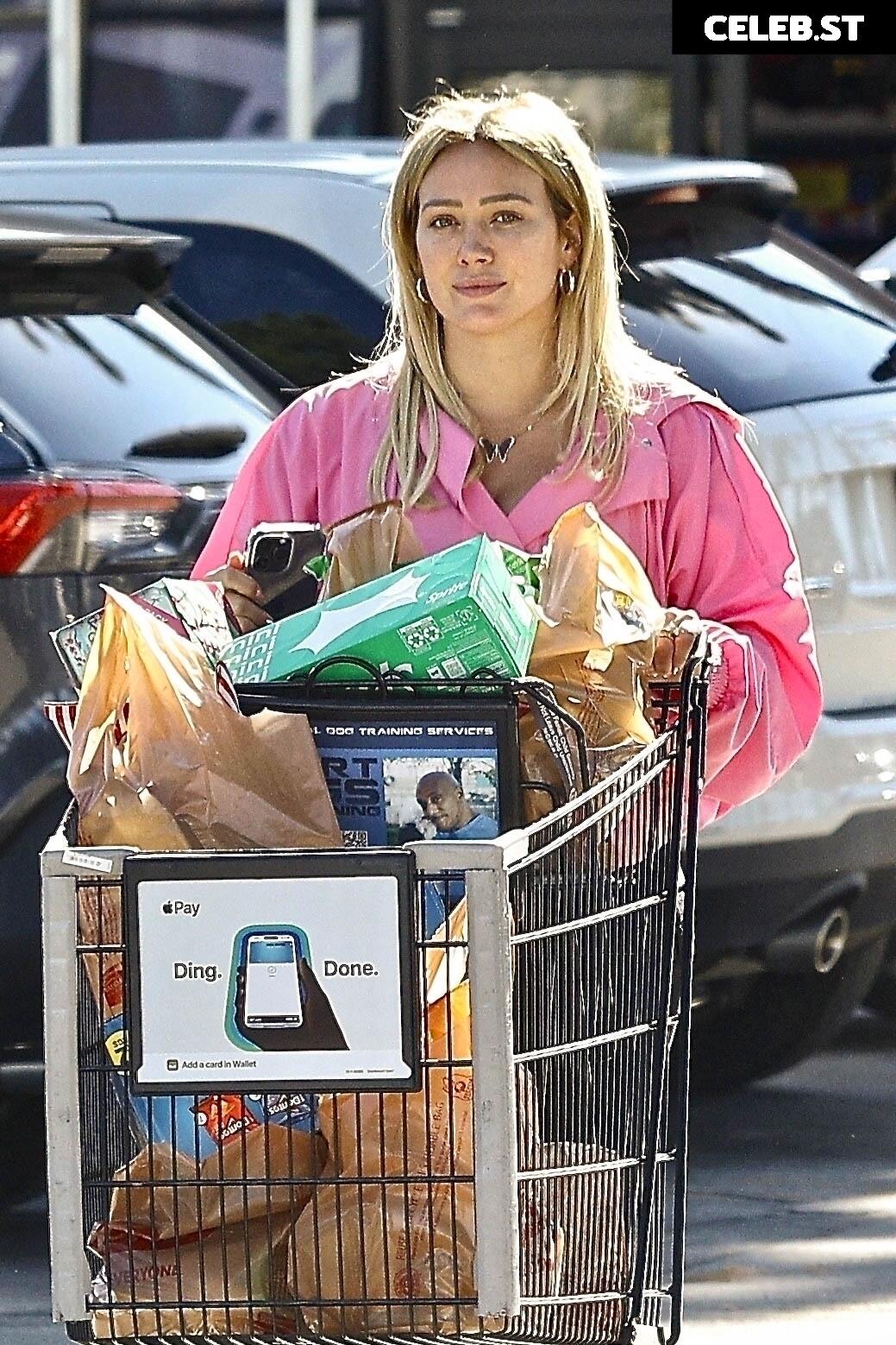 Hilary Duff Image 4472028