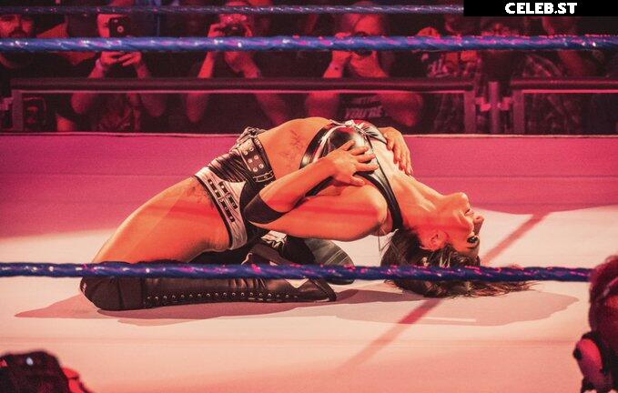 Women of Professional Wrestling Image 4473940