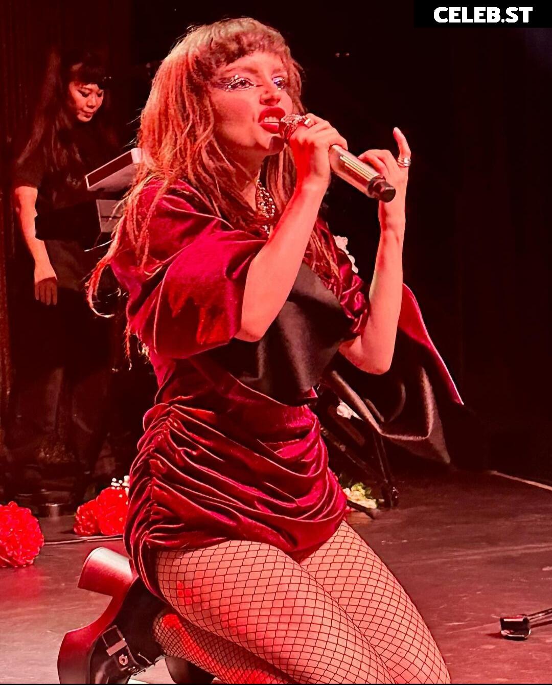 Lauren Mayberry (Singer) Image 4470279