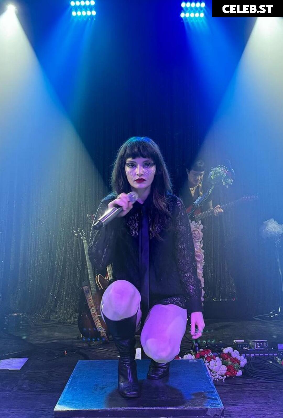 Lauren Mayberry (Singer) Image 4478054