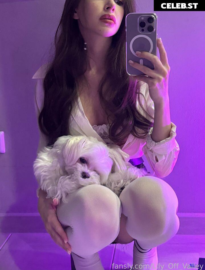 Lily_Off_Valley Image 4465146