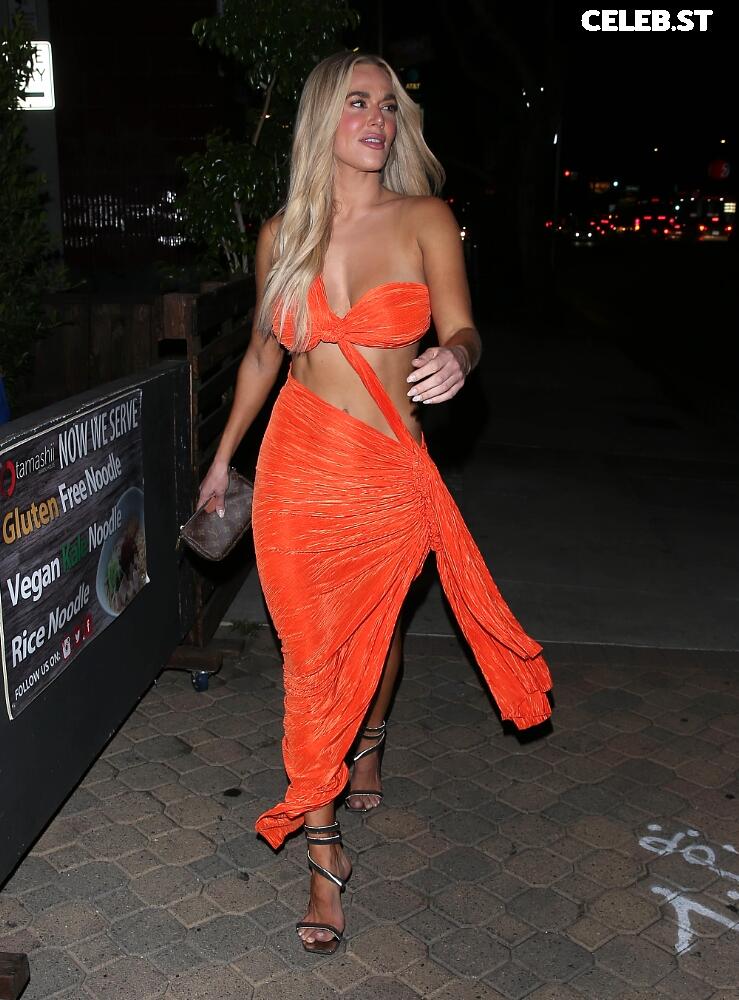 WWE Lana / CJ Perry Image 4462341