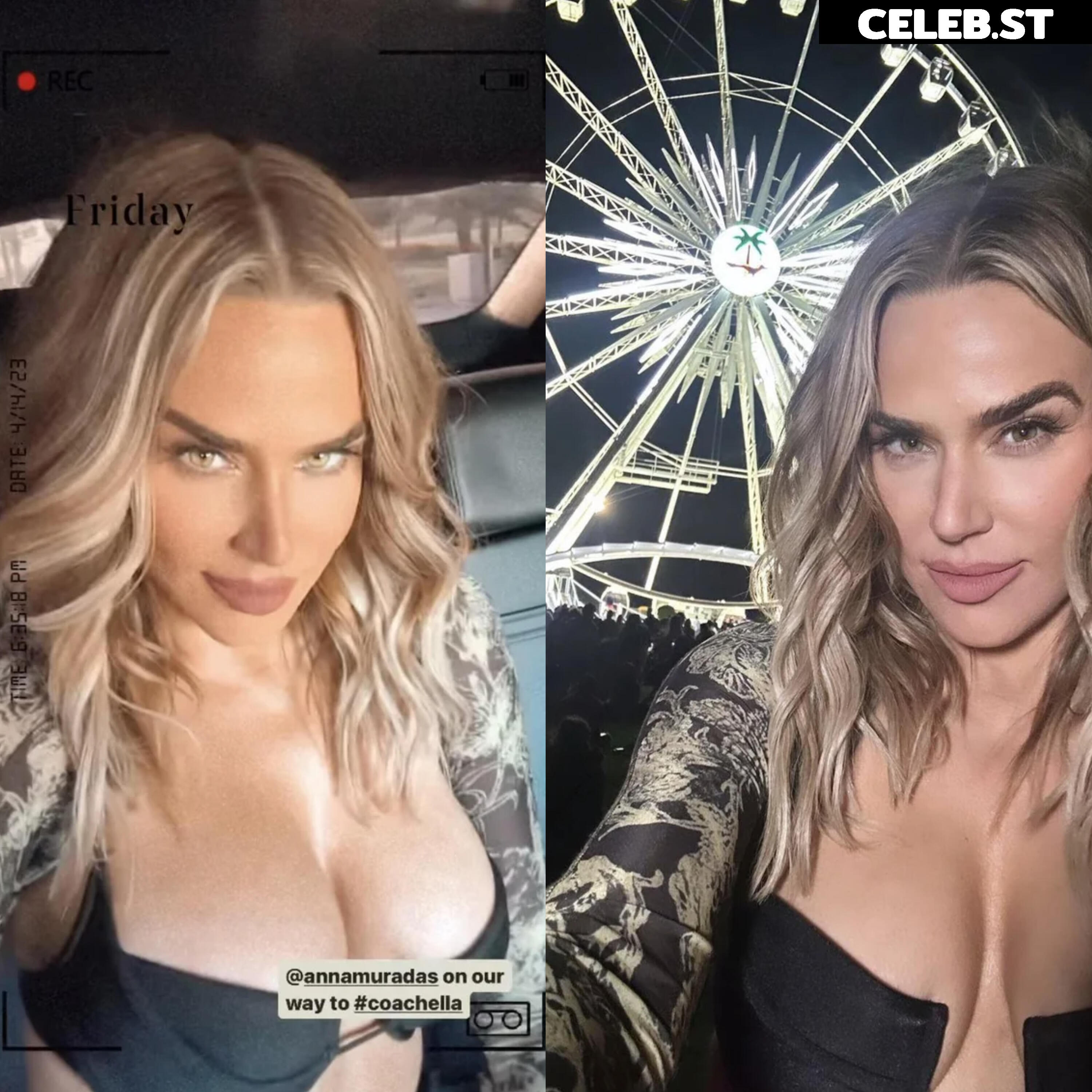 WWE Lana / CJ Perry Image 4469564