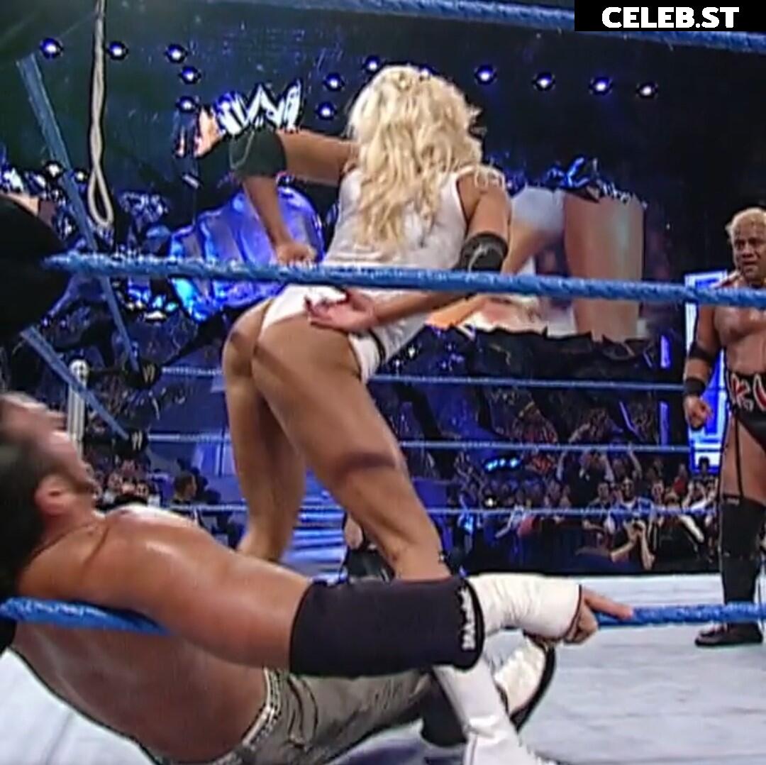 WWE Torrie Wilson Image 4469147