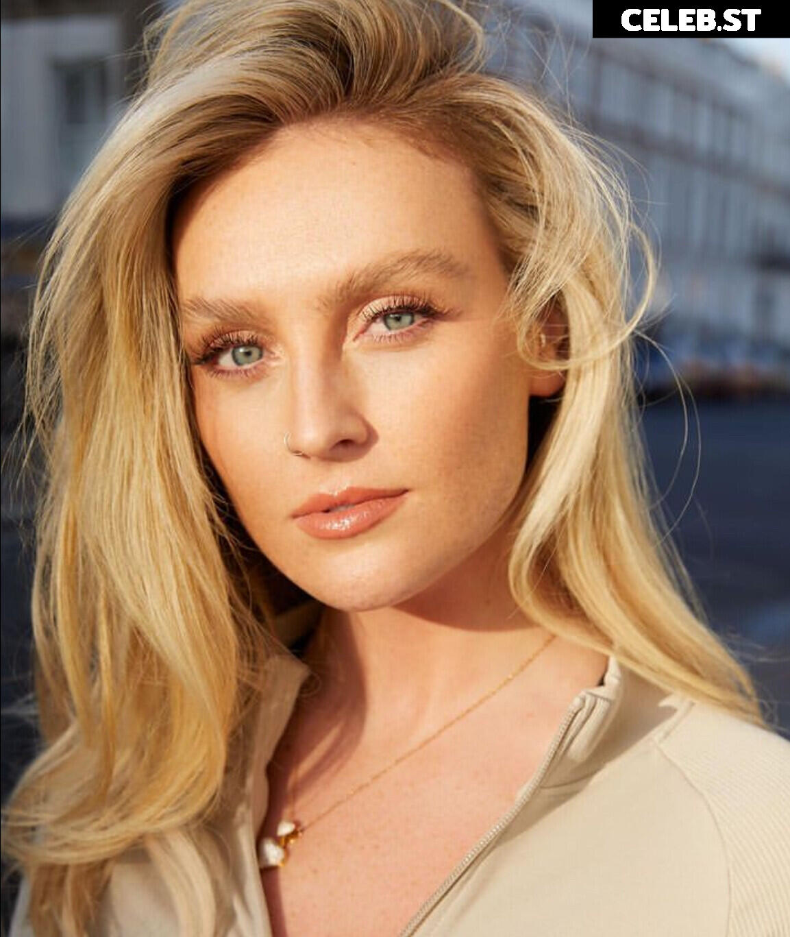 Perrie Edwards Image 4455603