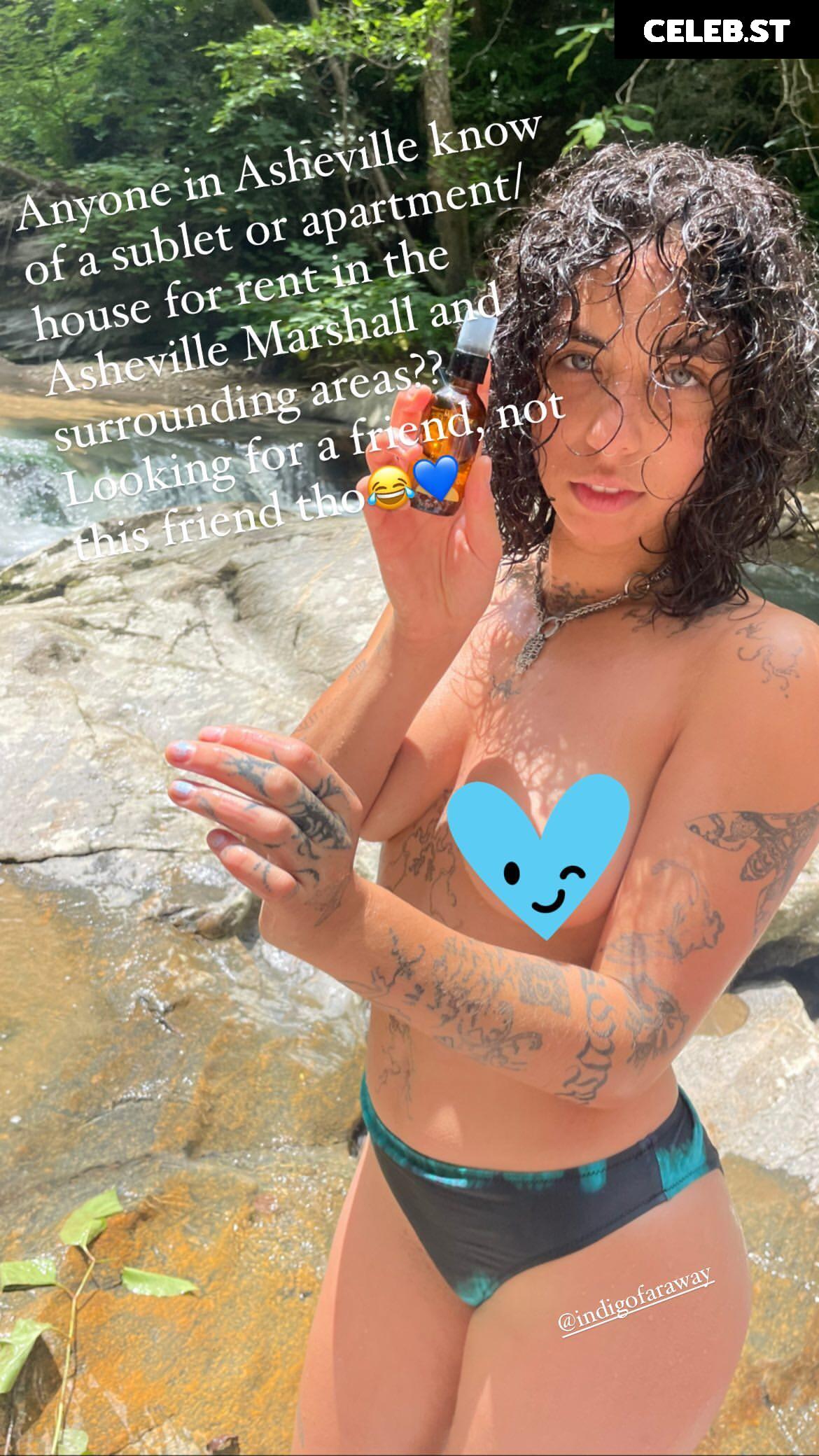 Indigo De Souza / IndigoFarAway Image 4456484