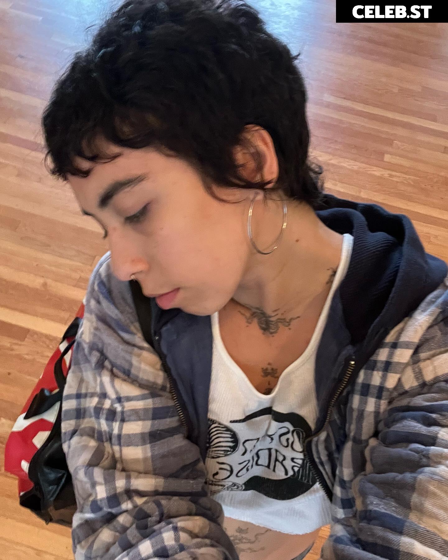 Indigo De Souza / IndigoFarAway Image 4456781