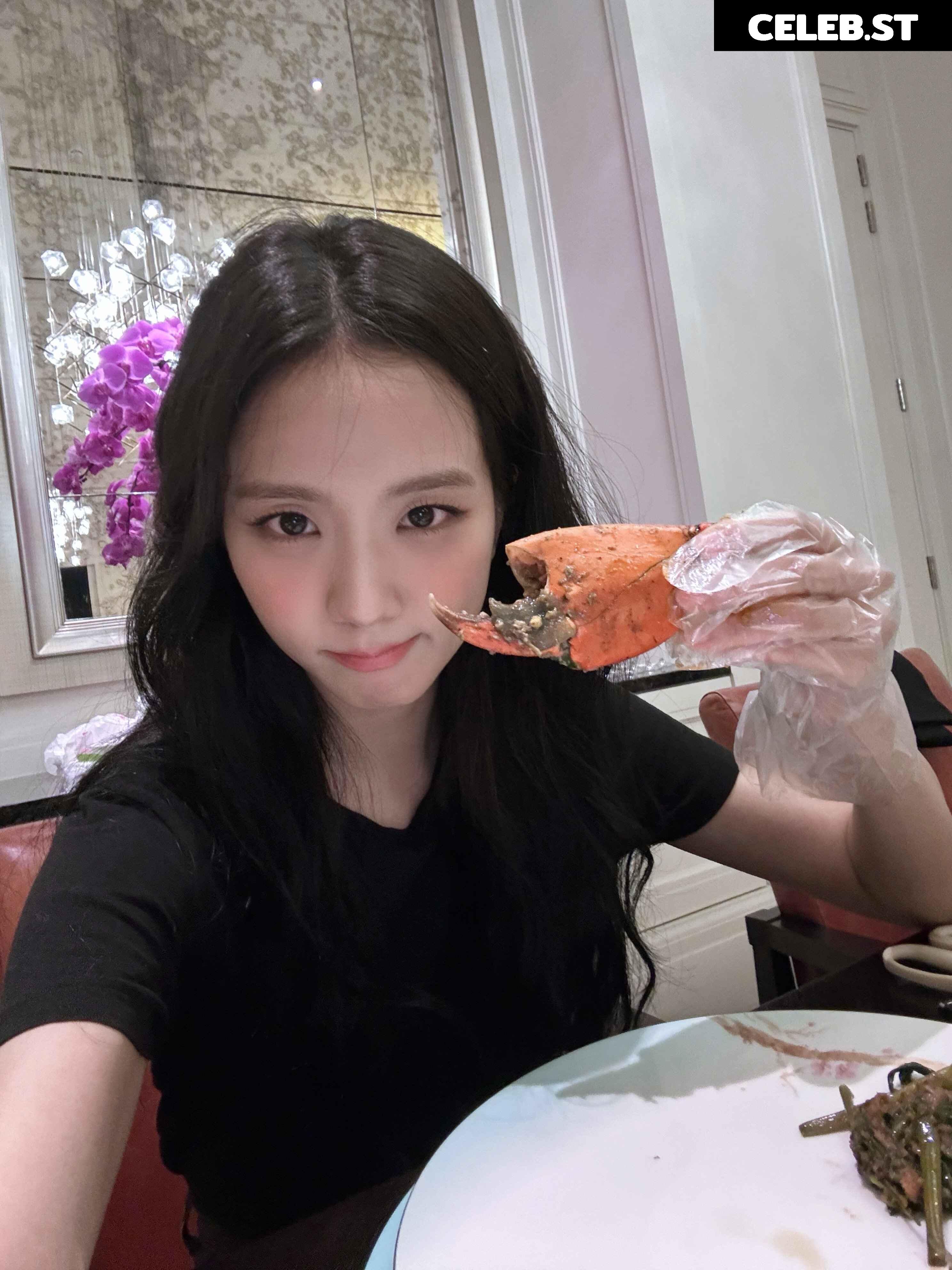 Jisoo  || - BLΛƆKPIИK ( BLACKPINK ) Image 4453528
