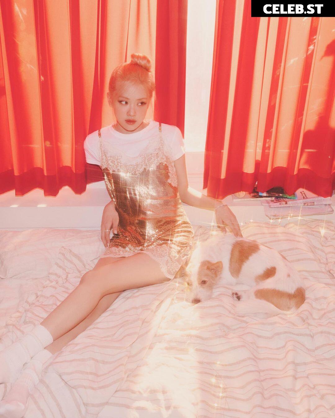 Rosé || Roseanne Park - BLΛƆKPIИK ( BLACKPINK ) Image 4453988