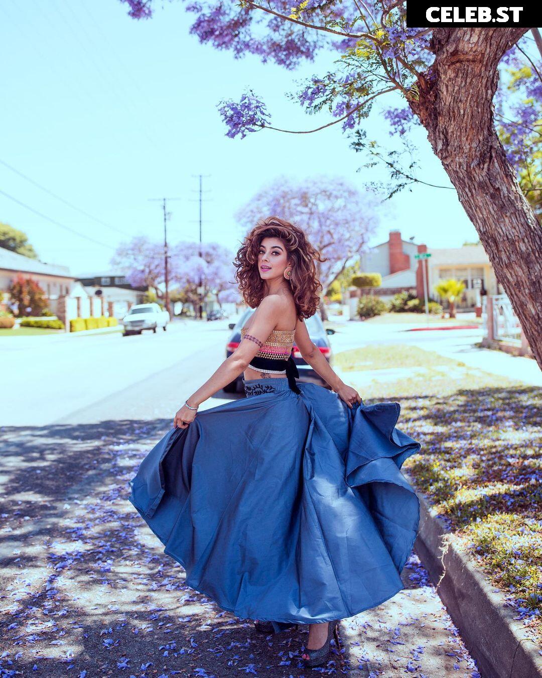 Samicamusic Image 4458900