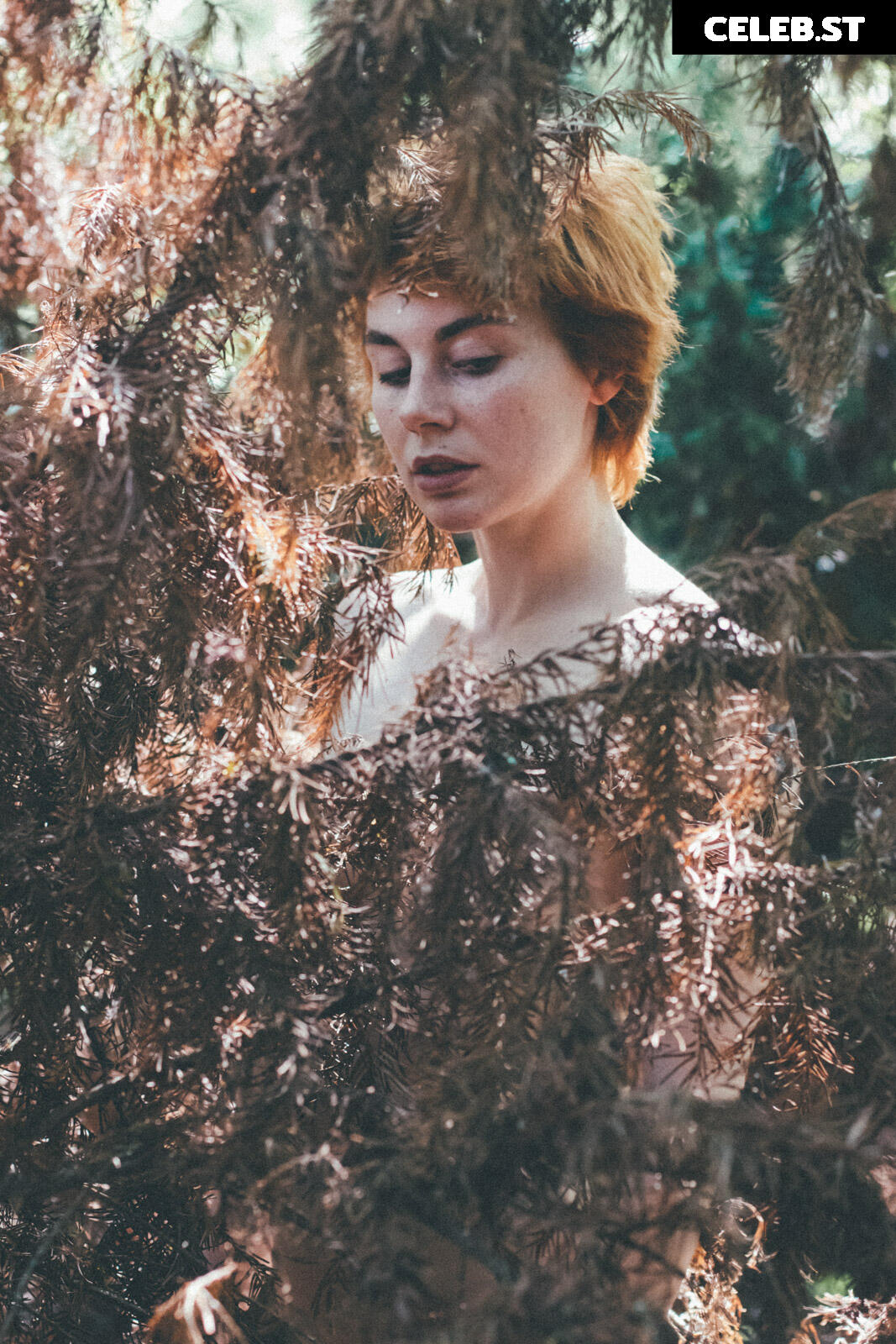 Muriel la Roja Image 444549