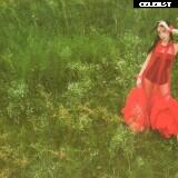 Jisoo  || - BLΛƆKPIИK ( BLACKPINK ) Image 4437629