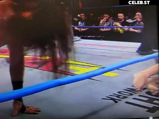Impact Wrestling Alisha Edwards Image 4431203