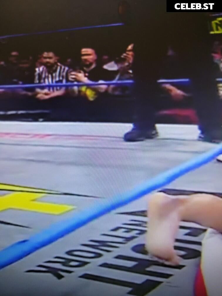 Impact Wrestling Alisha Edwards Image 4431231