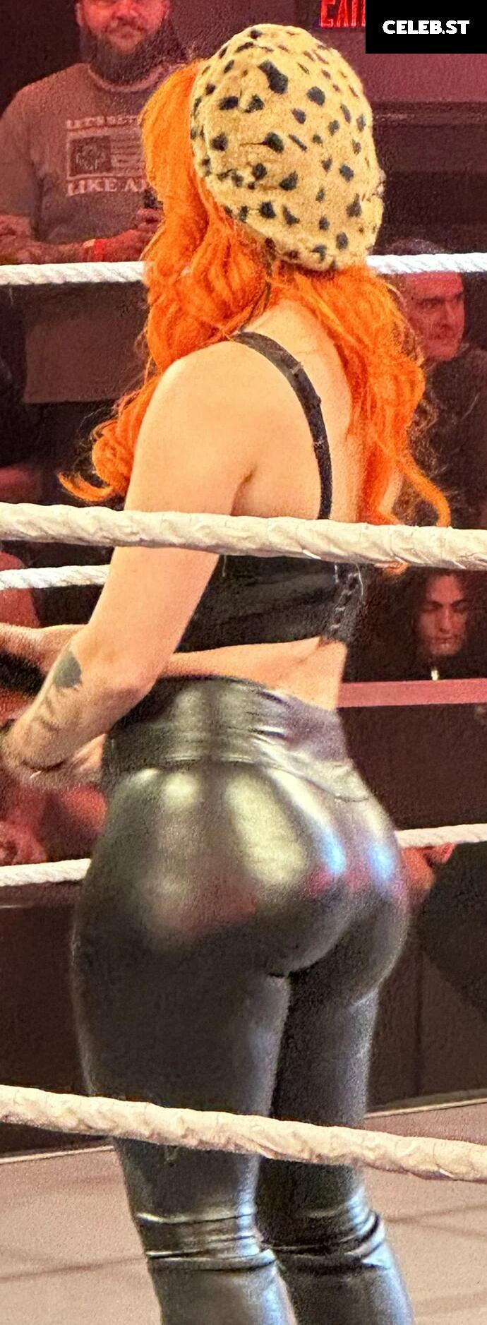 WWE GiGi Dolin / Priscilla Kelly Image 4432891