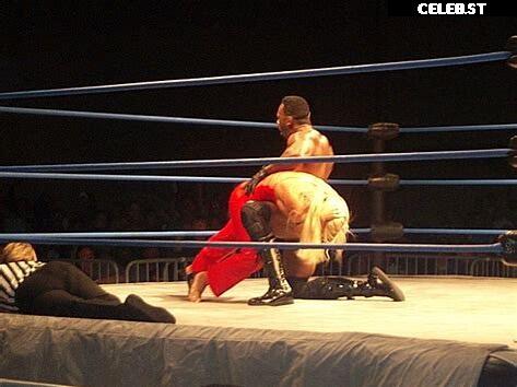 WWE Torrie Wilson Image 4430760