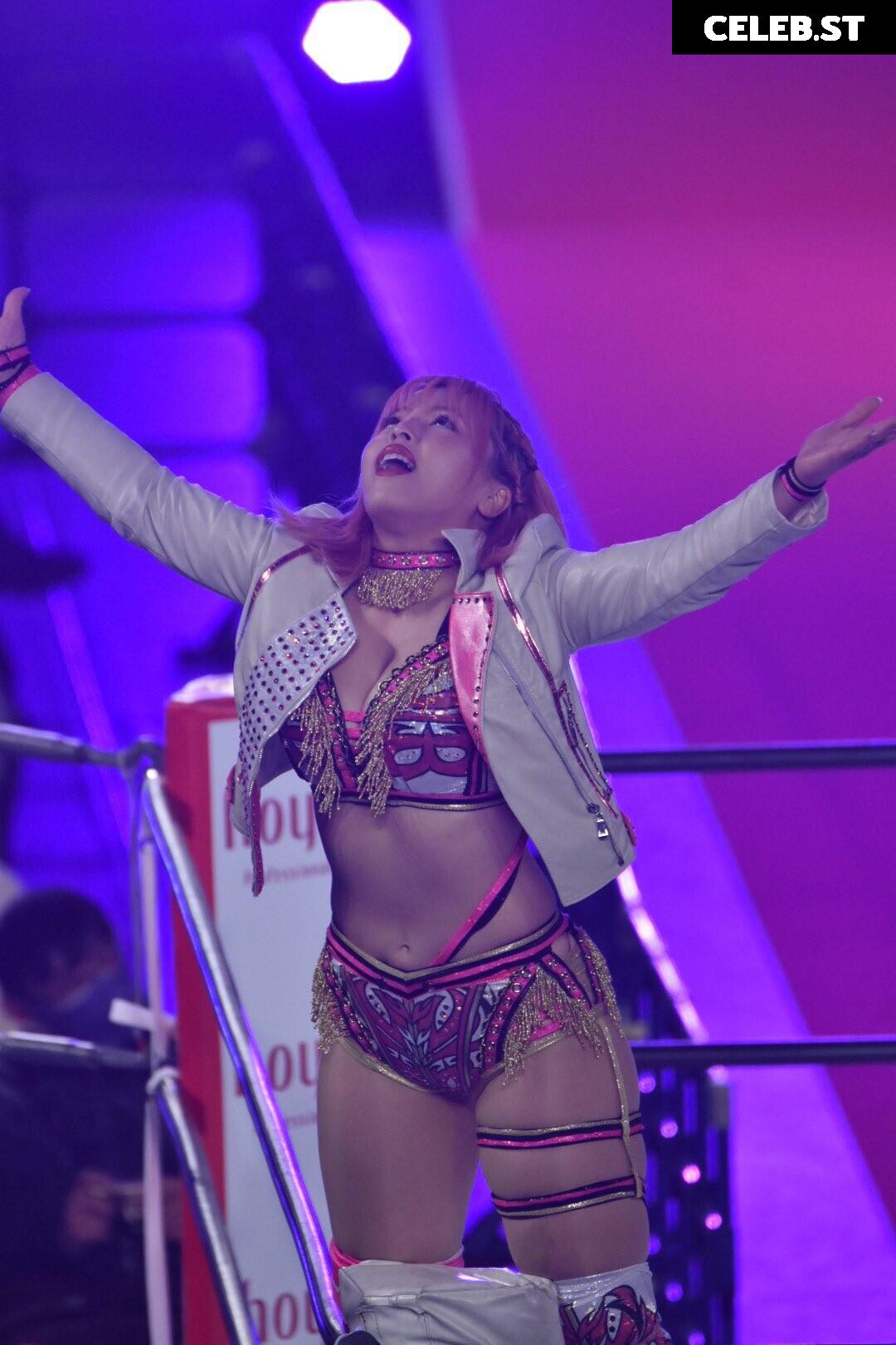 Women of Professional Wrestling Image 4426804
