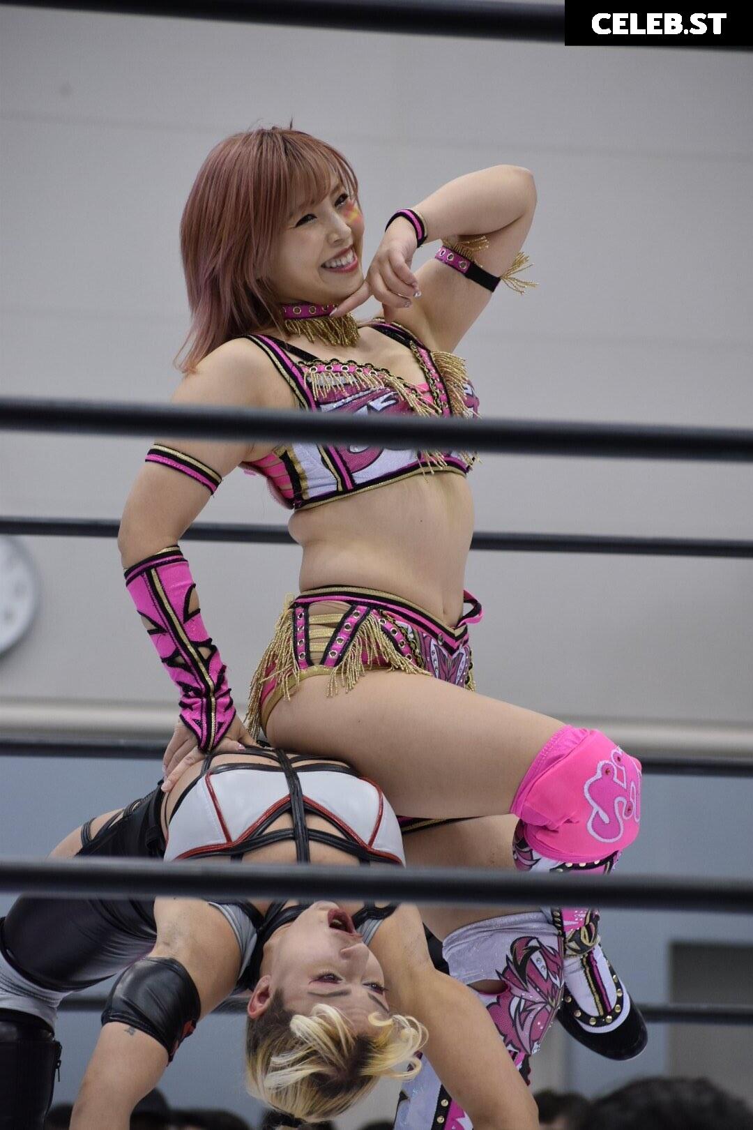 Women of Professional Wrestling Image 4426721