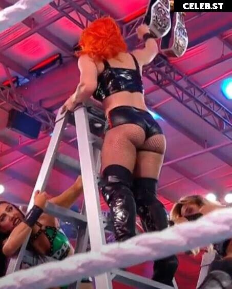 WWE GiGi Dolin / Priscilla Kelly Image 4421490