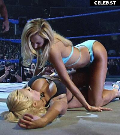 WWE Torrie Wilson Image 4416079