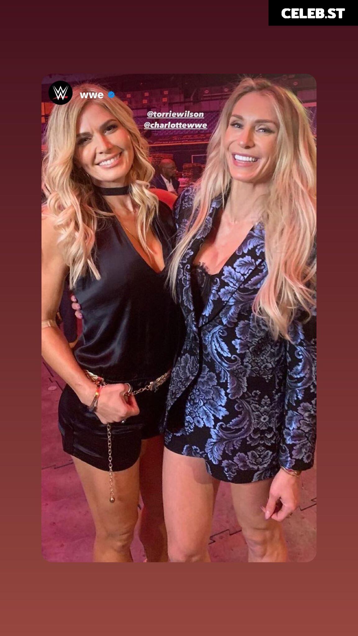 WWE Torrie Wilson Image 4414962