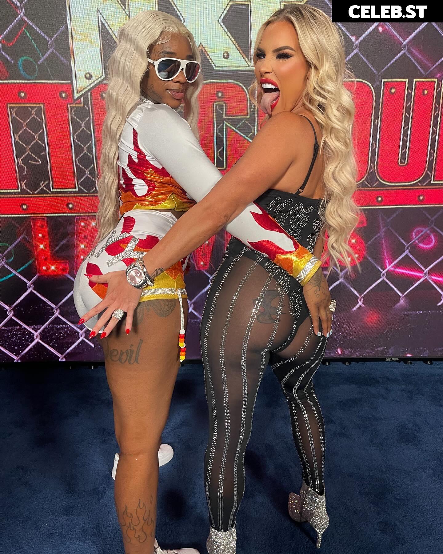 Ashley Sebera (formerly WWE Dana Brooke) Image 4411448