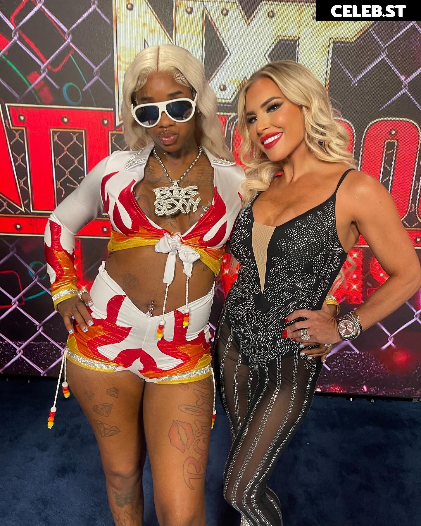 Ashley Sebera (formerly WWE Dana Brooke) Image 4411434
