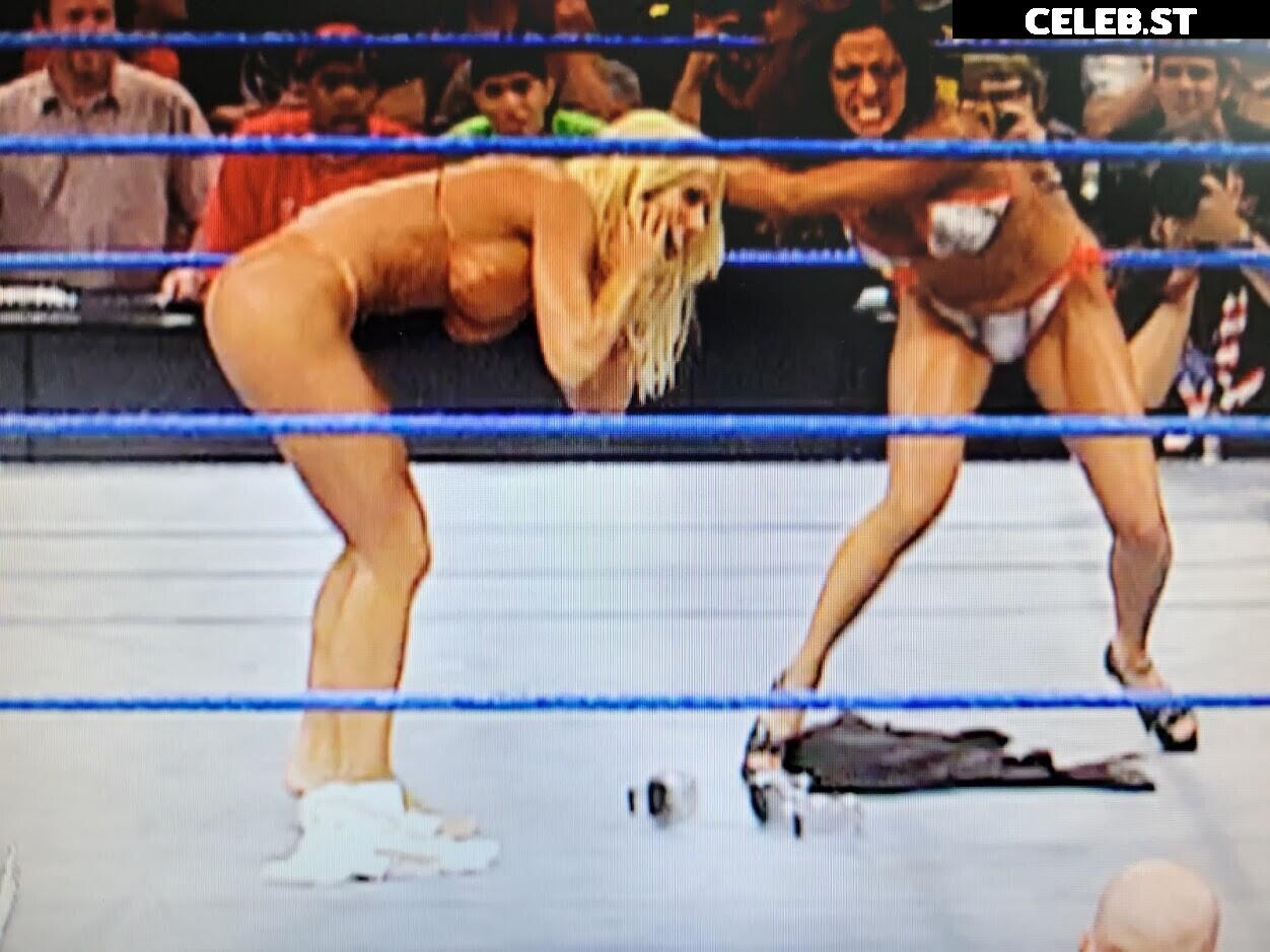 WWE Torrie Wilson Image 4411189