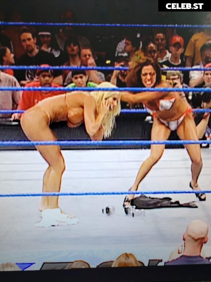WWE Torrie Wilson Image 4411209