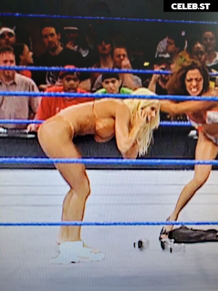 WWE Torrie Wilson Image 4411200
