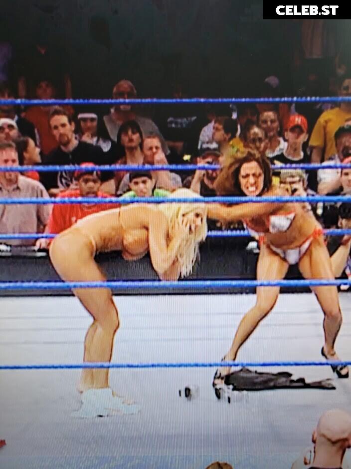 WWE Torrie Wilson Image 4411221