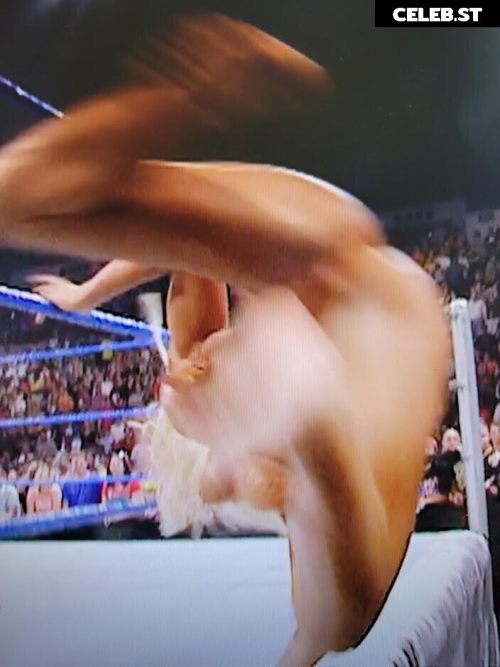 WWE Torrie Wilson Image 4412401