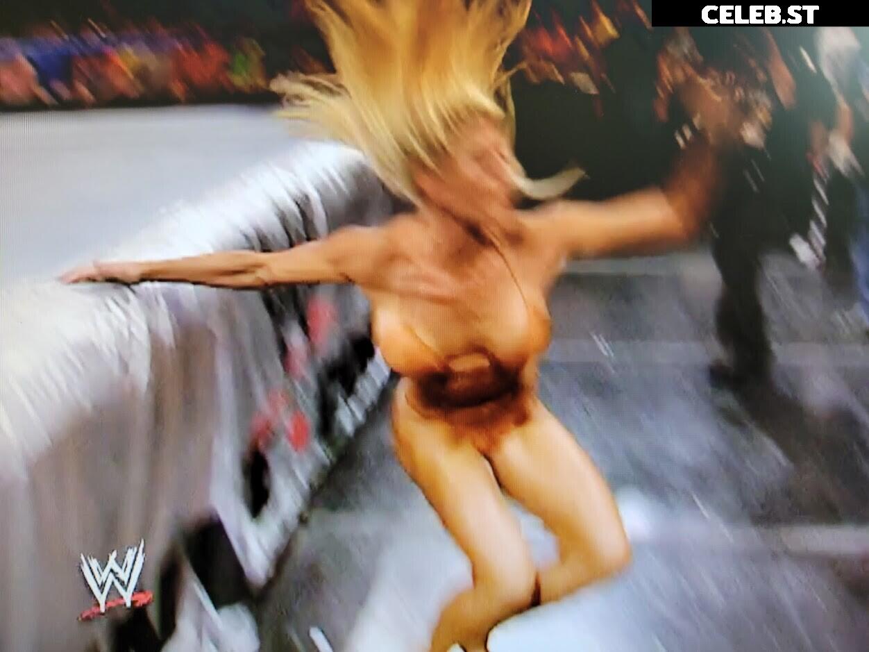 WWE Torrie Wilson Image 4412222