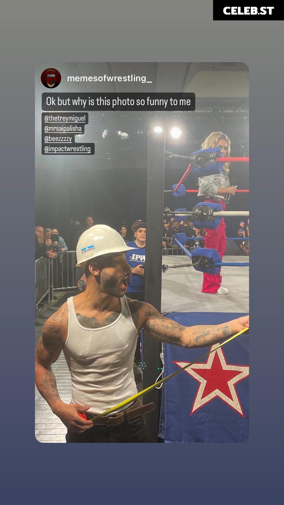 Impact Wrestling Alisha Edwards Image 4413138