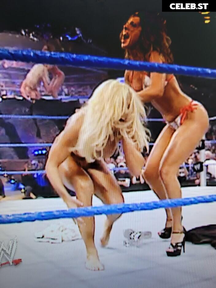 WWE Torrie Wilson Image 4410808