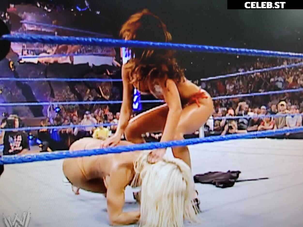 WWE Torrie Wilson Image 4410596