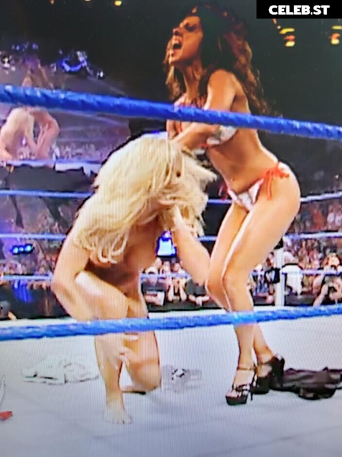 WWE Torrie Wilson Image 4410580